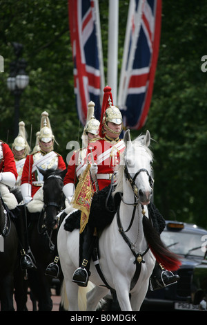 City of Westminster, England. Königinnenwache's auf der Mall während der Wechsel der Wachablösung am Buckingham Palace. Stockfoto