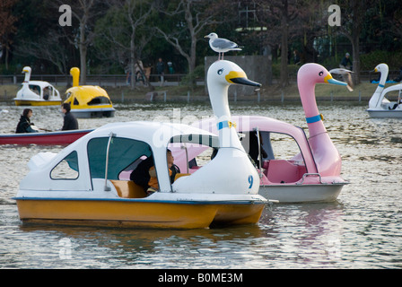 Tokio, Japan. Ueno-Park, nahe dem Stadtzentrum. Der See mit Booten mit schwanenförmigen Tretboote zu mieten Stockfoto