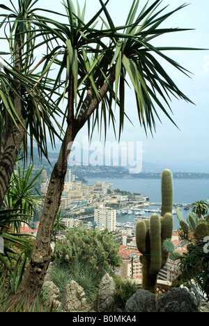 Jardin Exotique in Monaco Bezirk von Monighetti mit Blick auf den Palast in Monaco-Ville. Stockfoto