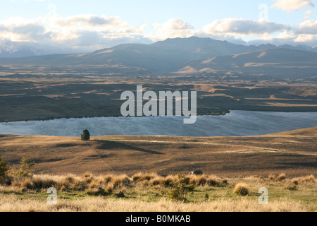 Lake Alexandrina von Mount John Observatorium Südinsel Neuseeland Stockfoto