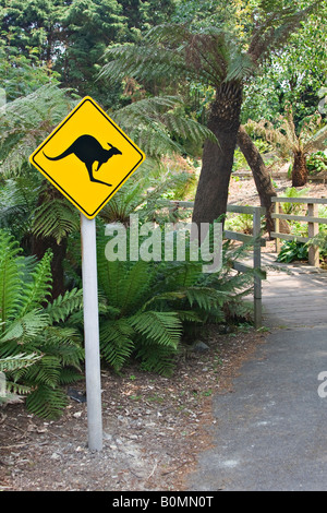 Australisches Schild "Kangaroo Crossing the Road" Stockfoto