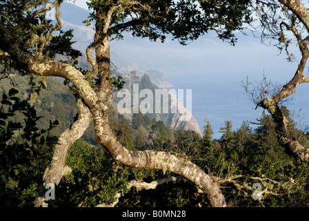 Blick auf Big Sur Küste aus Nepenthe Restaurant, Zentral-Kalifornien, USA Stockfoto