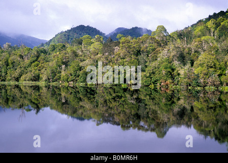Reflexionen der uralte Regenwälder entlang dem Gordon River, Strahan, Tasmanien. Stockfoto