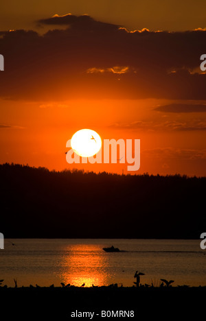 Ein Boot zurück zum Hafen, Vögel Silhouette gegen Sonne Stockfoto