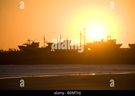 Angelboote/Fischerboote im Hafen Hof bei Sonnenuntergang. Essaouira, Marokko Stockfoto