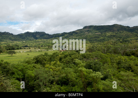 Die Ruinen von Copan Website und Park in Copan Honduras am 3. November 2006 Stockfoto