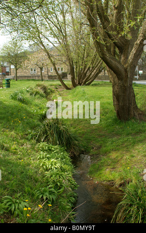 Der Strom durch die Parklandschaft an einer Ecke der Main Street mit modernen Wohnens jenseits Burley in Wharfedale Stockfoto