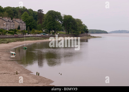 kleine grüne schmutzig am Strand Stockfoto