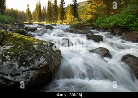 Morgen auf schnelle Bergfluss Stockfoto