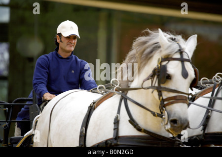 Pferdekutsche Wagen im Gestüt Yeguada De La Cartuja, Hierro del Bocado, Jerez De La Frontera, Andalusien, Spanien Stockfoto