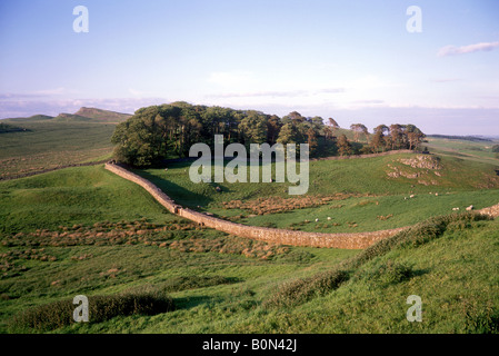 Northumberland Housesteads Ansicht der Hadrianswall Stockfoto