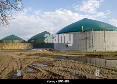 Biogas-Panzer auf einem Bauernhof, die Erzeugung von Strom in das Dorf Strohen, Niedersachsen, Deutschland. Stockfoto