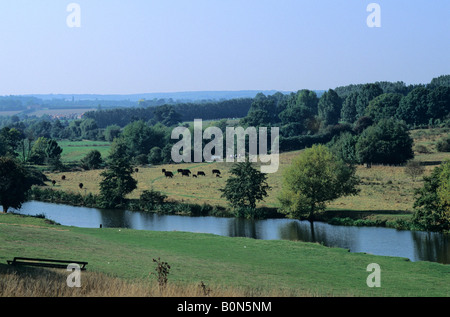 Fluss Medway in der Nähe von West Farleigh Kent England UK Stockfoto