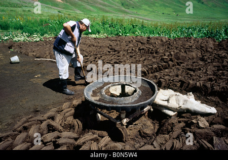 24. Juni 2006 - Nomad schneiden getrockneten Dung zum Heizen Jurten in den kirgisischen Bergen nahe der Stadt Kazarman. Stockfoto