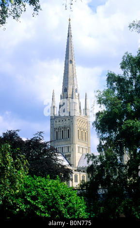 Norwich Kathedrale Spire Norfolk mittelalterlichen Turm East Anglia, England UK englische Architektur Stockfoto