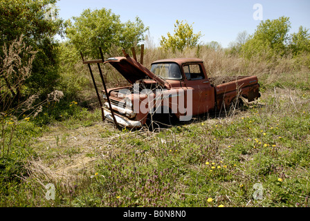 1958 Chevrolet Apache 31 klassische Pickup-Truck Rost entfernt in einem Feld. Stockfoto