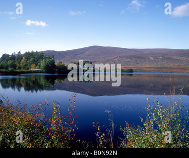 Schöne Reflexionen über Loch Alvie im Spey Tal Stockfoto