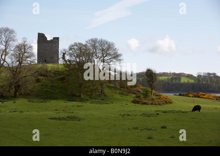 Audleys Burg Turm Haus Westeros im Spiel der Throne Strangford Lough Grafschaft, Nord-Irland Stockfoto