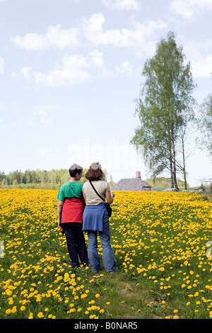 Sohn und Mutter im Feld Löwenzahn im lettischen Landschaft Stockfoto