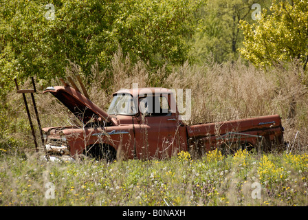 1958 Chevrolet Apache 31 klassische Pickup-Truck Rost entfernt in einem Feld. Stockfoto