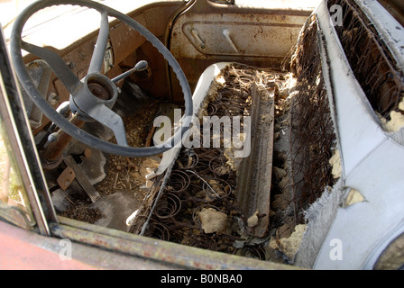 Innenraum des Jahres 1958 Chevrolet Apache 31 klassische Pickup-Truck Rost entfernt in einem Feld. Stockfoto