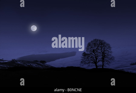 Moonlight Landschaft in den Pennine Hills in der Nacht im Winter mit Schnee Baum und Mond Hawes Yorkshire England Großbritannien Stockfoto