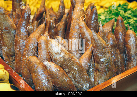 Yuca La Boqueria Markt Barcelona Spanien Stockfoto