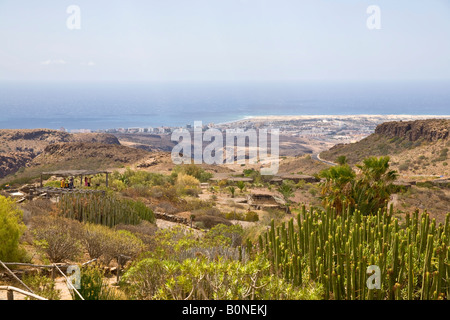 Mundo Aborigen - Museum - Barranco de Fataga - Gran Canaria Grand Stockfoto