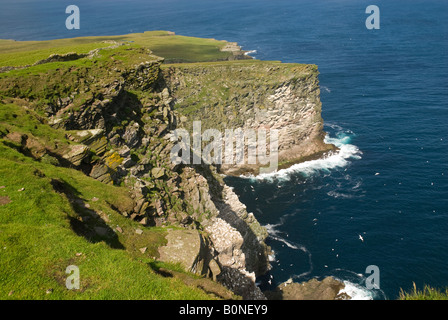 Klippen in der Nähe von Noupe auf der Isle of Noss, Shetland-Inseln, Schottland, UK Stockfoto