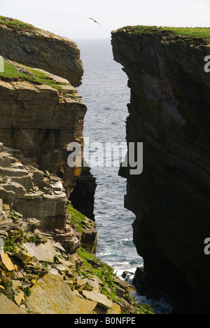 Ein Geo in Klippen in der Nähe von Noupe, auf der Isle of Noss, Shetland-Inseln, Schottland, UK Stockfoto