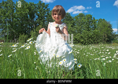 Kleine Mädchen tragen weiße Kleid stehen im Feld 3-5 mit Gänseblümchen-Porträt Stockfoto