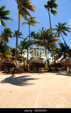 Tropischer Strand mit Palmen und Sonnenschirmen auf Karibik-Insel Stockfoto