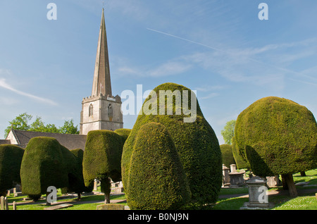 Eiben in Str. Marys Kirche in Painswick in den Cotswolds Stockfoto