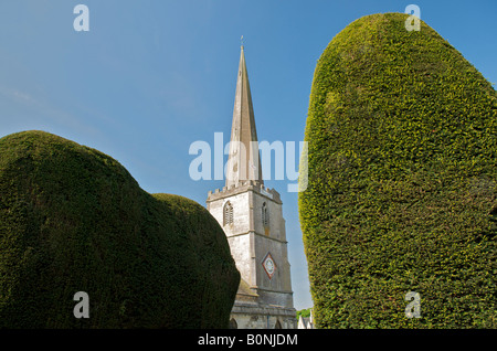 Eiben in Str. Marys Kirche in Painswick in den Cotswolds Stockfoto