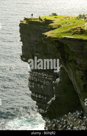 Klippen in der Nähe von Noupe auf der Isle of Noss, Shetland-Inseln, Schottland, UK Stockfoto