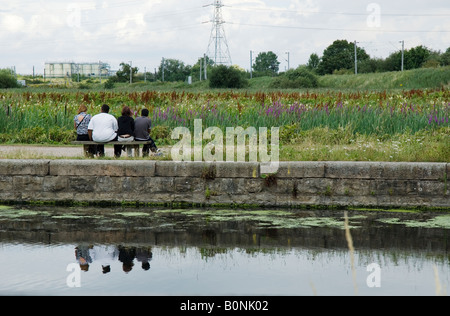 Rückansicht von vier Personen auf einer Bank, auf der Suche in Walthamstow Marshes, Lee Valley,London,England,U.K. Stockfoto