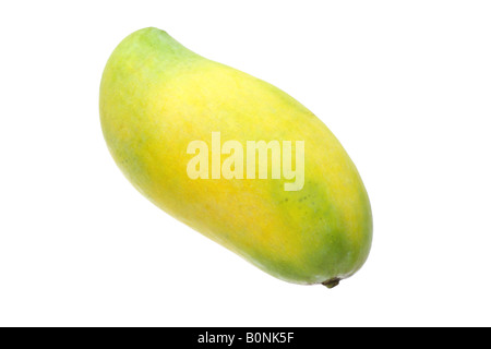 Reife Mango Frucht isoliert auf weißem Hintergrund Stockfoto