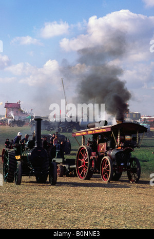 Dampflokomotiven im Ehrenring bei The Great Dorset Steam Fair 2004 Stockfoto