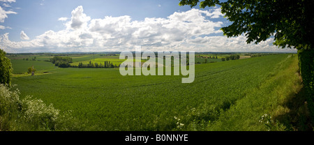 Ein Blick auf die Ebene der Limagne. Vue Panoramique De La Plaine De La Limagne Sur la commune de Cognat-Lyonne. Stockfoto