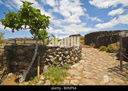 Mundo Aborigen - Museum - Gran Canaria Grand Stockfoto