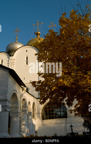 Nowodewitschi-Kloster in Moskau Stockfoto