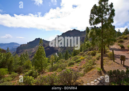 Roque Nublo Gran Canaria Stockfoto