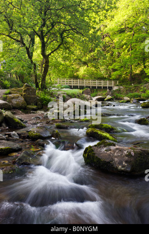 Frühling im Watersmeet in Exmoor Nationalpark Devon England Stockfoto