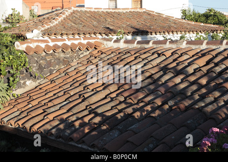 Gekachelte Dächer auf das Musuem der Töpferei Museo Alfarero Arguayo, Teneriffa Stockfoto