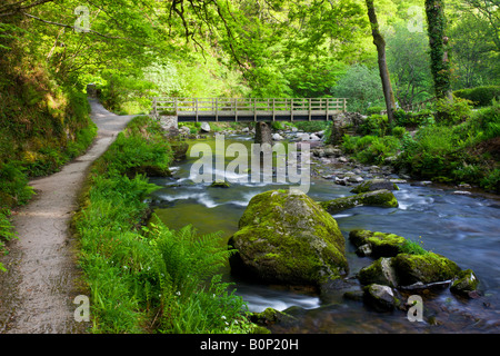 Frühling im Watersmeet in Exmoor Nationalpark Devon England Stockfoto