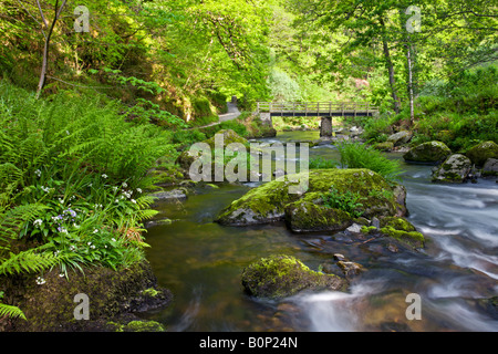 Frühling im Watersmeet in Exmoor Nationalpark Devon England Stockfoto