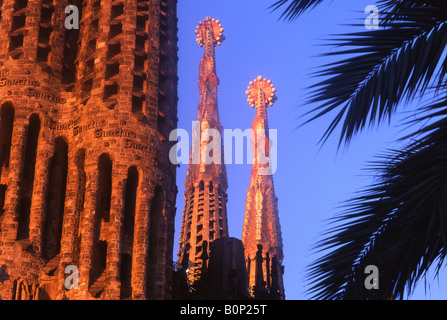 Sagrada Familia im Morgengrauen durch Palm trees Designed von Antoni Gaudi Barcelona Catalunya Spanien Stockfoto