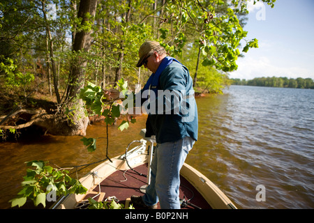 Ein erwachsener Mann hakt seinen Köder, der in einem Baum beim Angeln am Ufer des Sees Greenwood Stading auf einem Bass Boot gefangen wurde Stockfoto