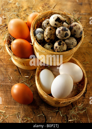 Freilandeier Bio Wachtel, Ente und Huhn Stockfoto