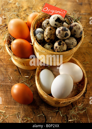 Bio Wachtel, Ente und Huhn Eiern Stockfoto